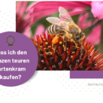 Hummel in Makroaufnahme auf Blume