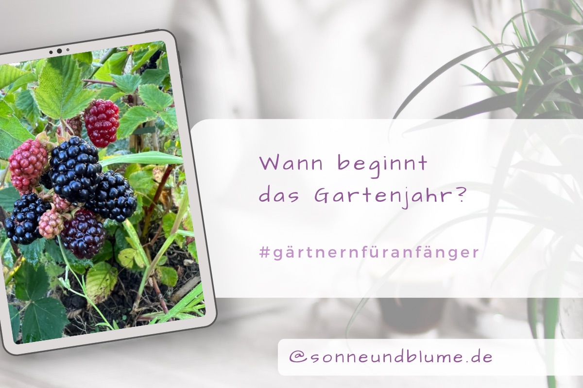 Wann beginnt das Gartenjahr?