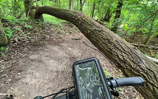Mein Fahrradlenker und ein umgestürzter Baum